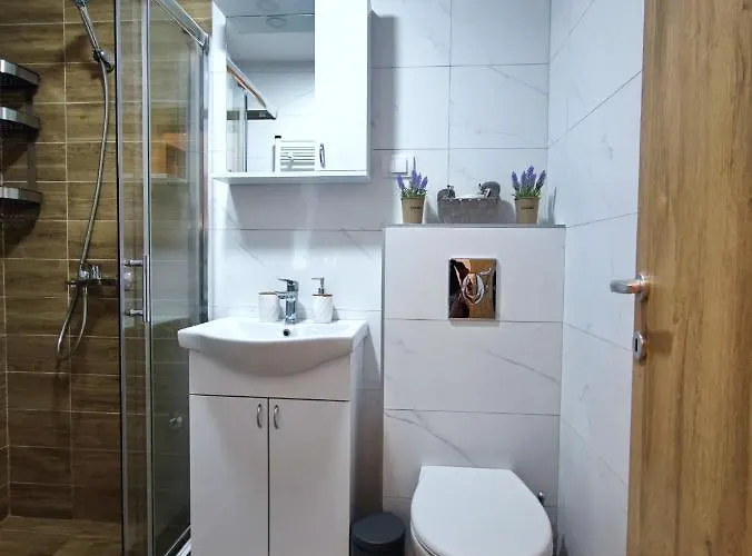 Monarch Relax And Apartamento Zlatibor